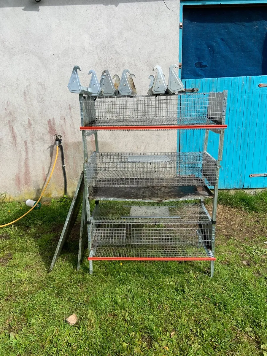 Quail laying and breeding cages - Image 1