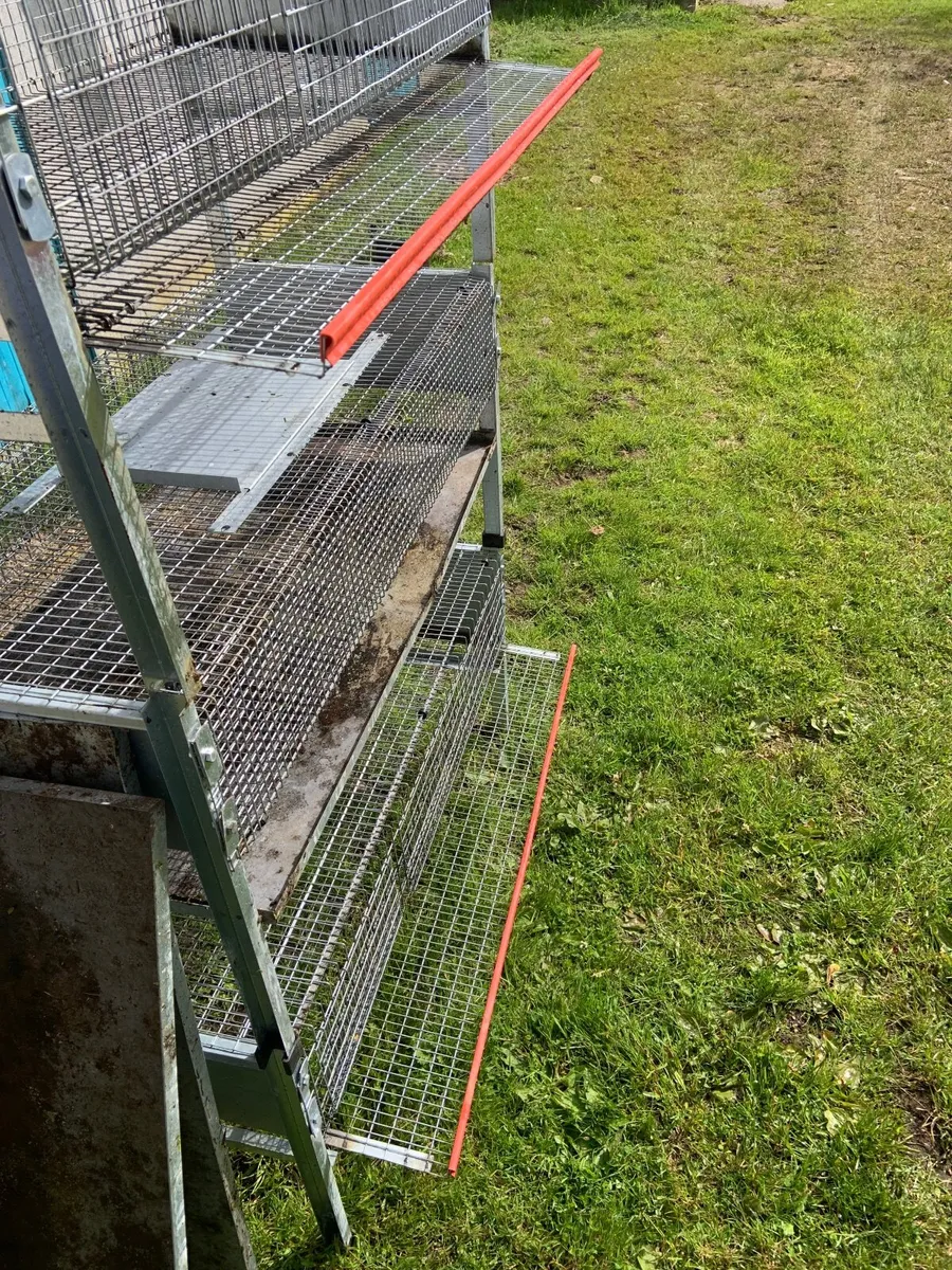 Quail laying and breeding cages - Image 2