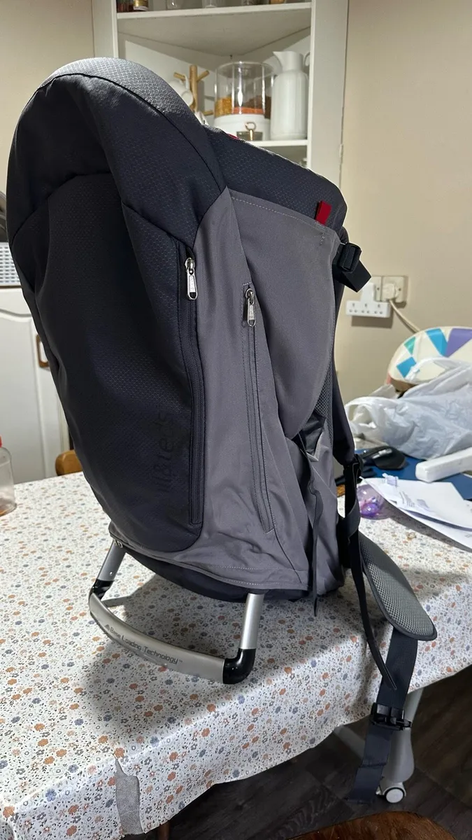 Phil and teds baby carry bag - Image 1
