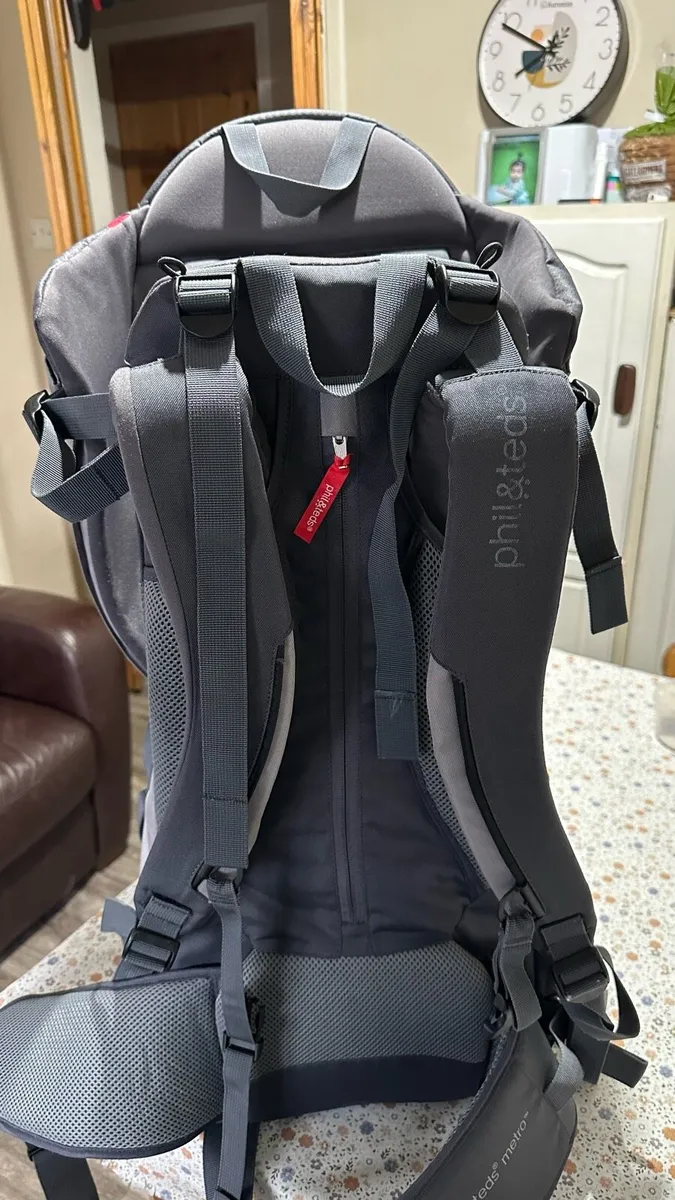 Phil and teds baby carry bag - Image 3