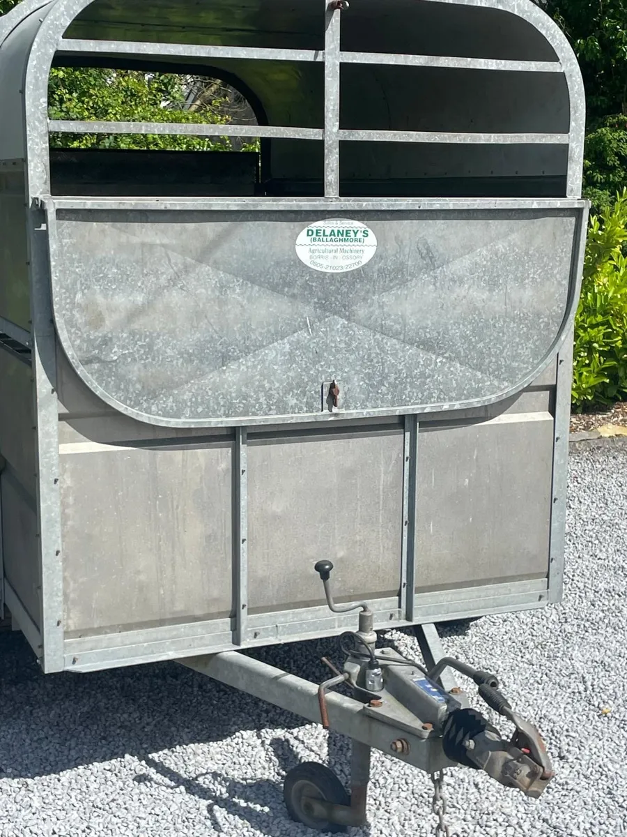 8/4ft6 deleney box - Image 1