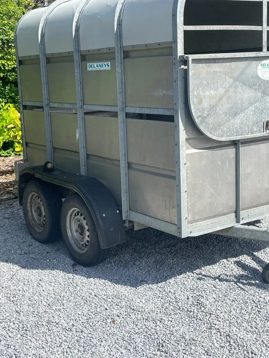 8/4ft6 deleney box - Image 2