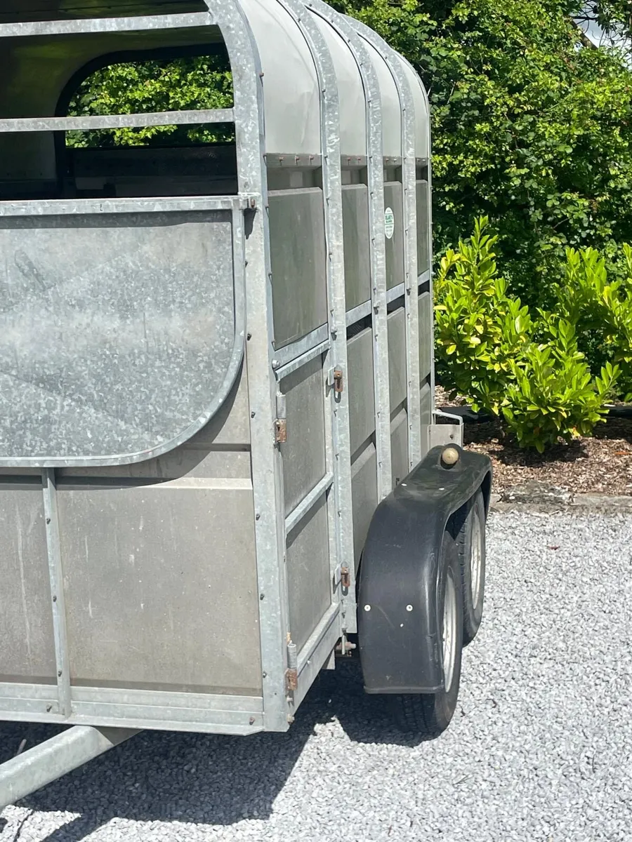 8/4ft6 deleney box - Image 3
