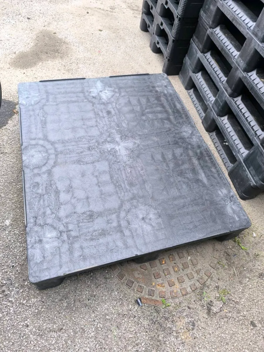 Large amount of plastic pallets - Image 1