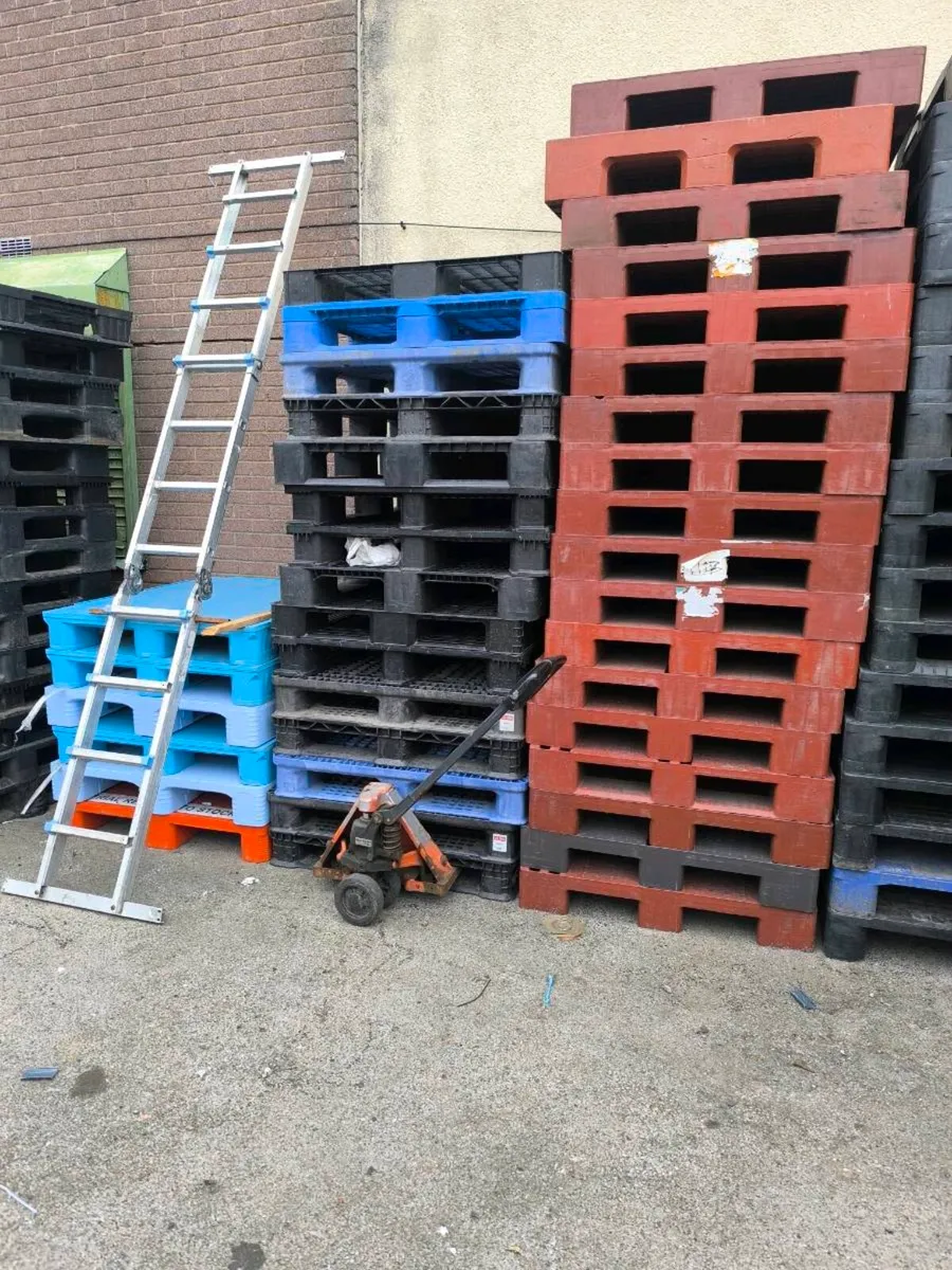 Large amount of plastic pallets - Image 3