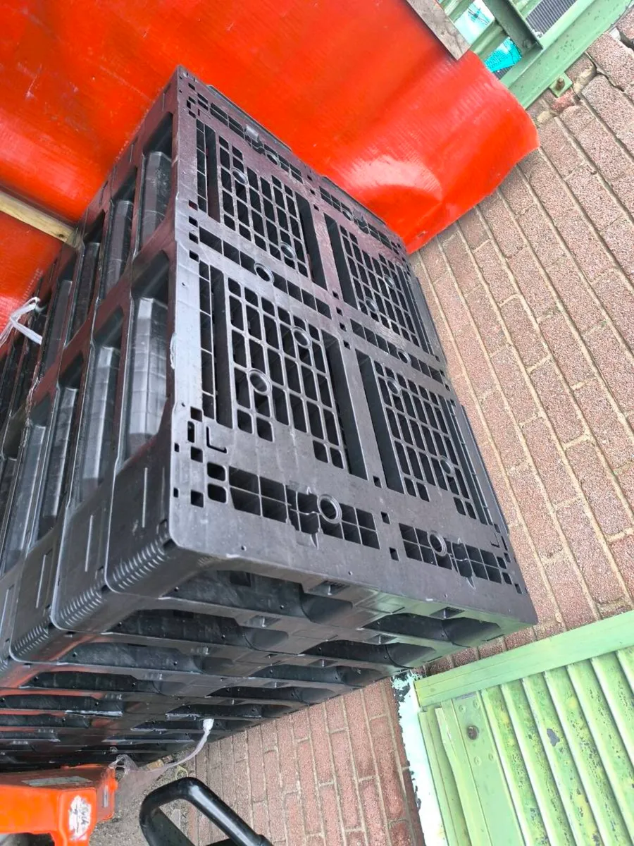 Large amount of plastic pallets - Image 4
