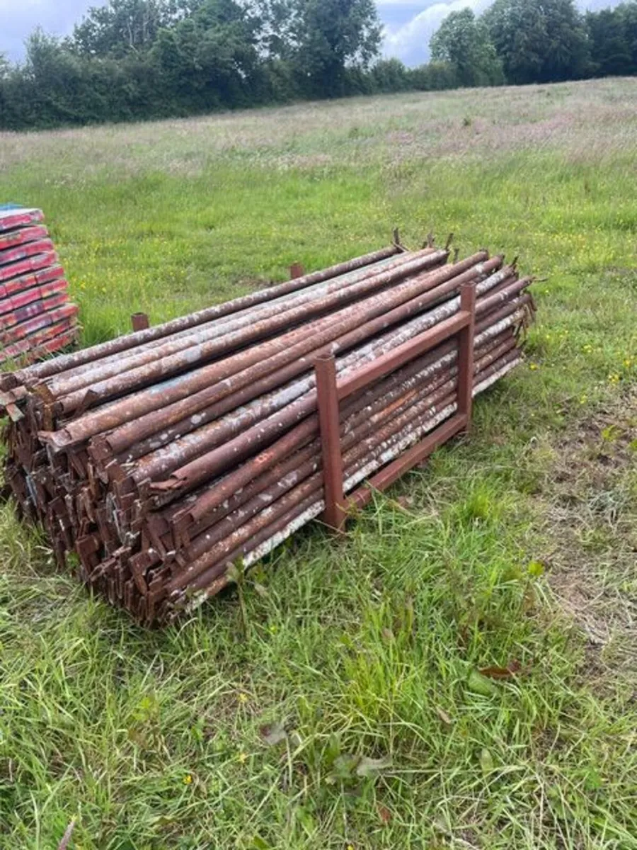 Scaffolding - Image 2