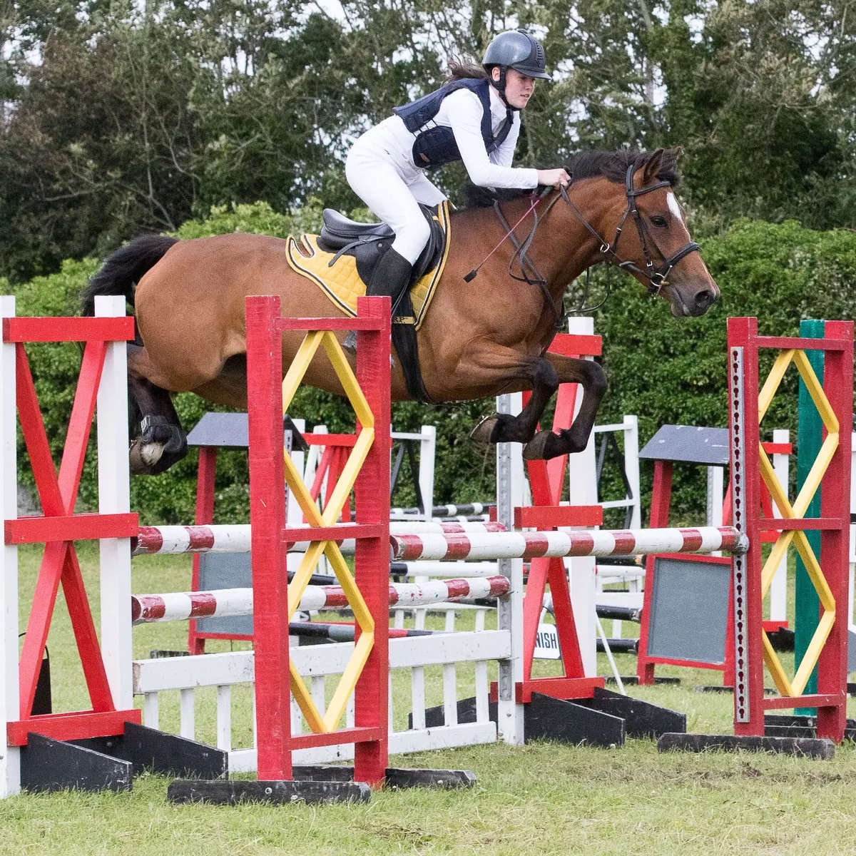 2 ponies for sale - Image 1