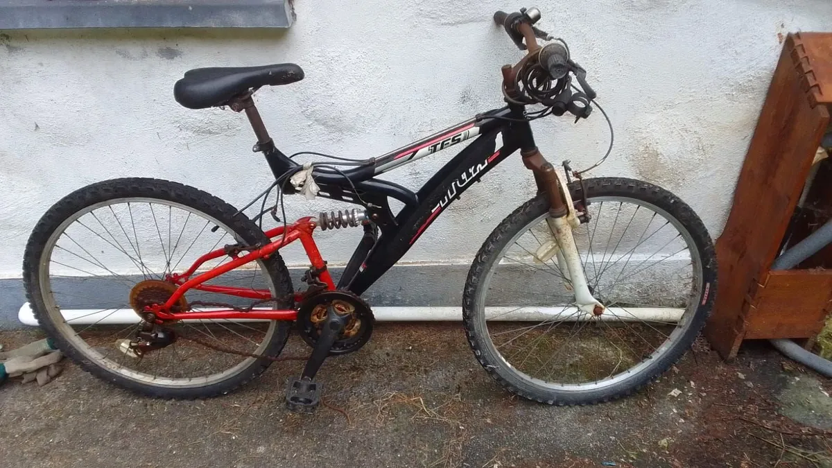 Cottage clearing - Image 2
