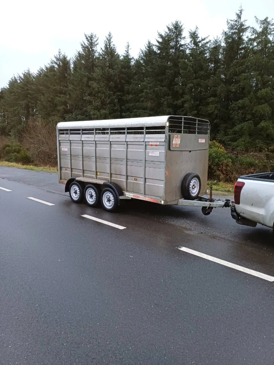 Hudson 14ft CATTLE TRAILER (2017) - Image 2