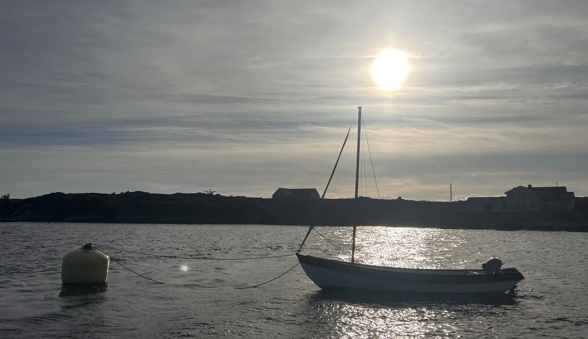 Devon/Drascombe Lugger & New Tohatsu 6hp - Image 3