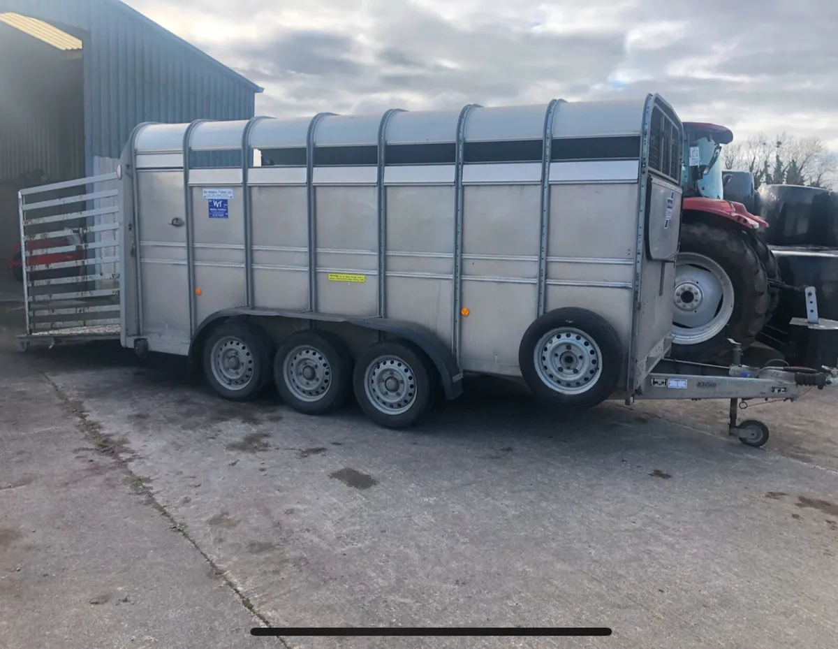 14ft Ifor Williams Cattle trailer - Image 1