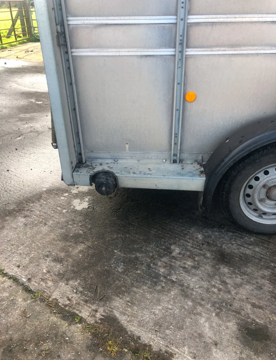14ft Ifor Williams Cattle trailer - Image 4