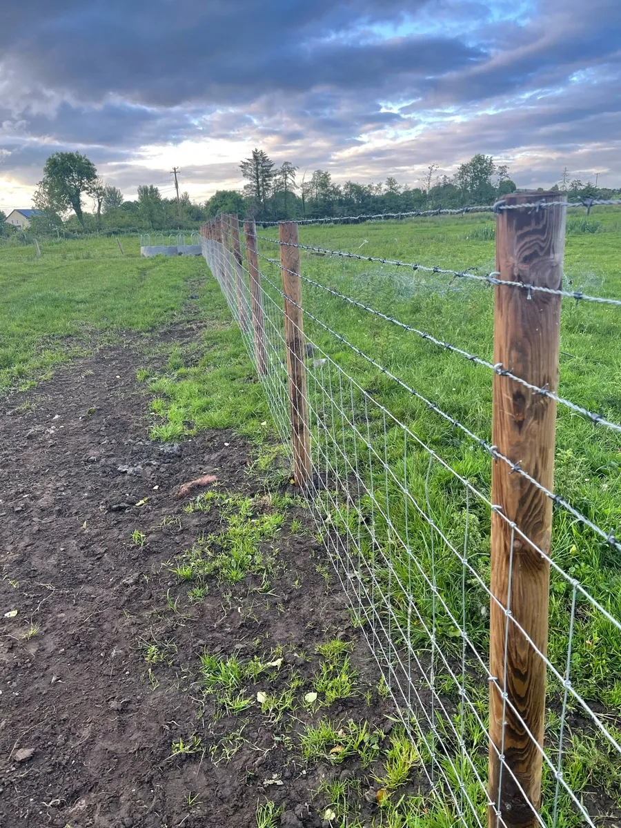 Fencing Contractor - Image 1