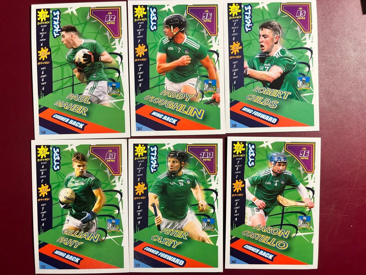 Limerick GAA Heroes - Image 1