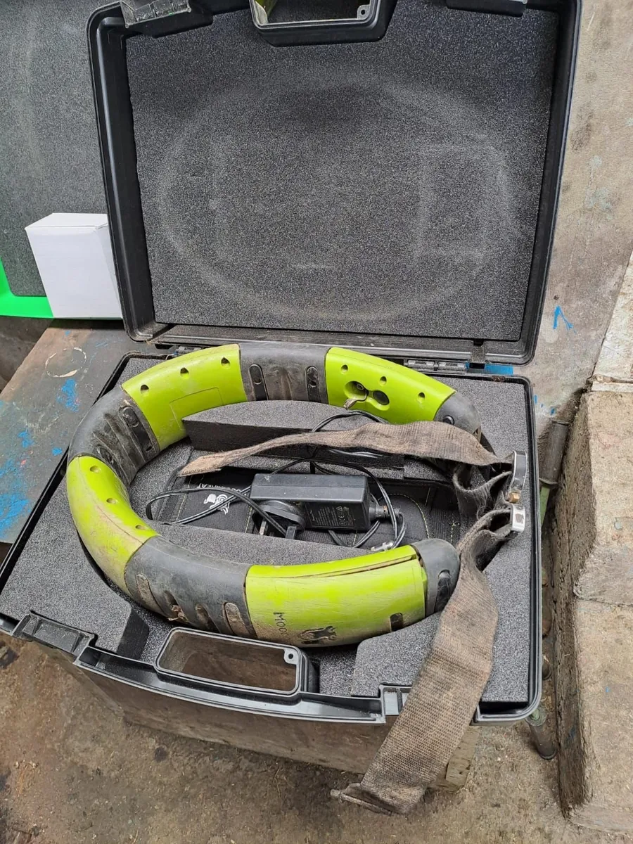 Moocall heat detector collars