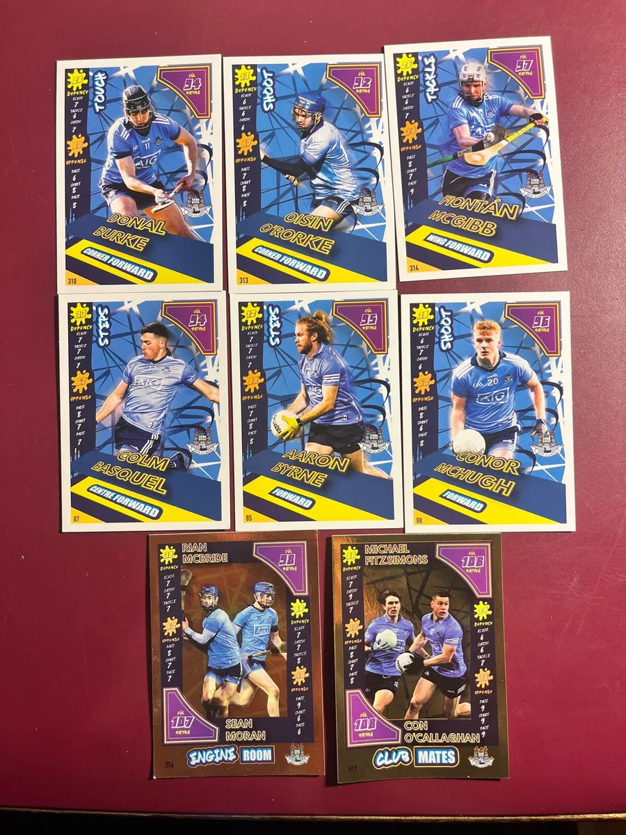 Dublin GAA heroes - Image 1