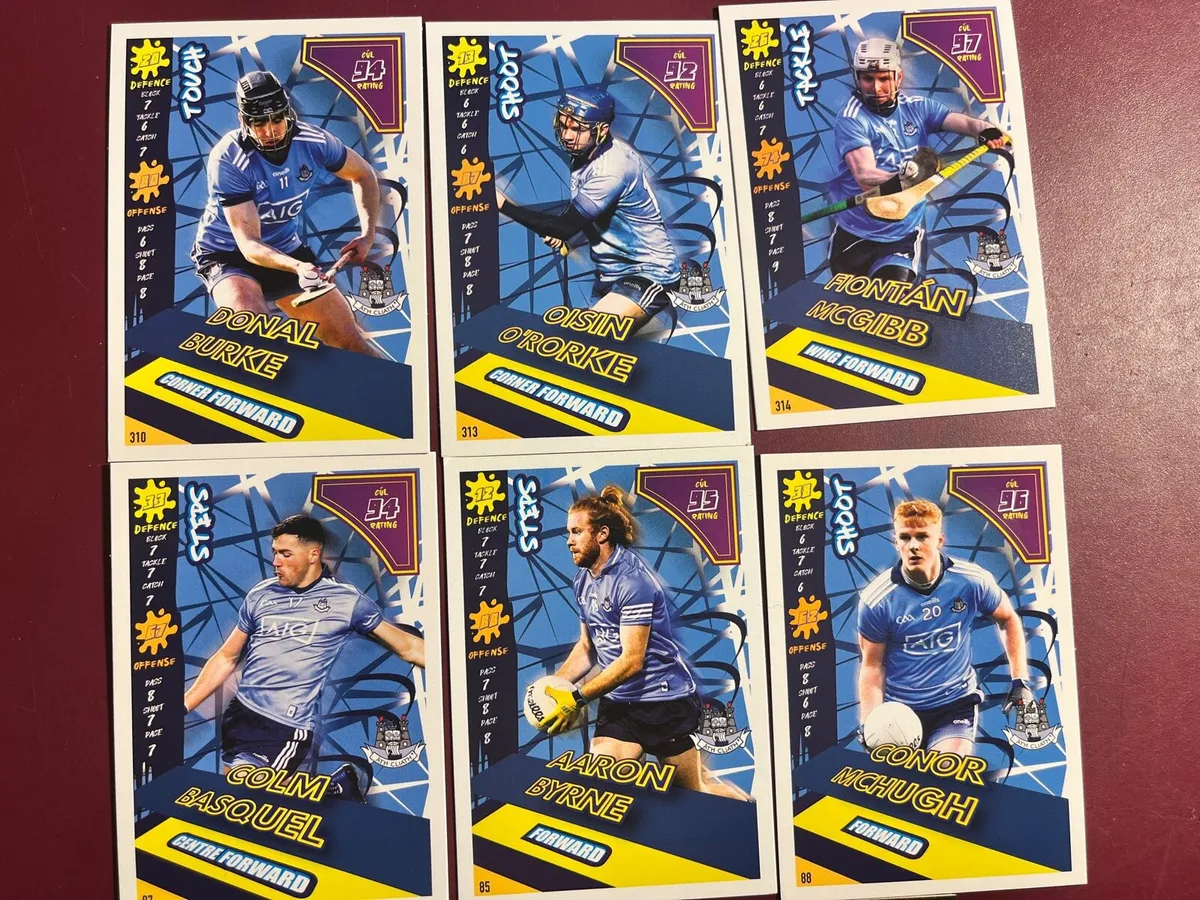 Dublin GAA heroes - Image 2