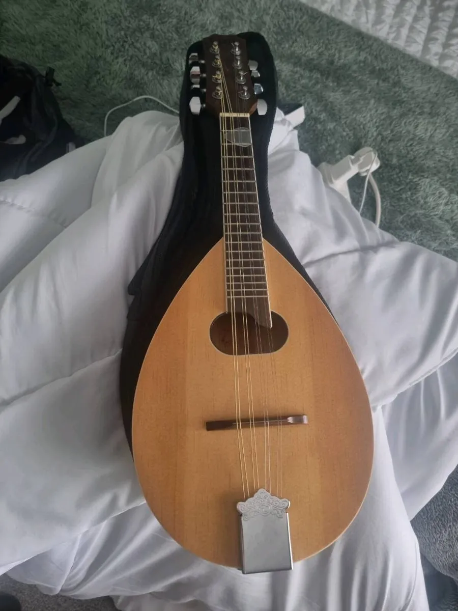 Ozark mandolin £100 sterling - Image 1