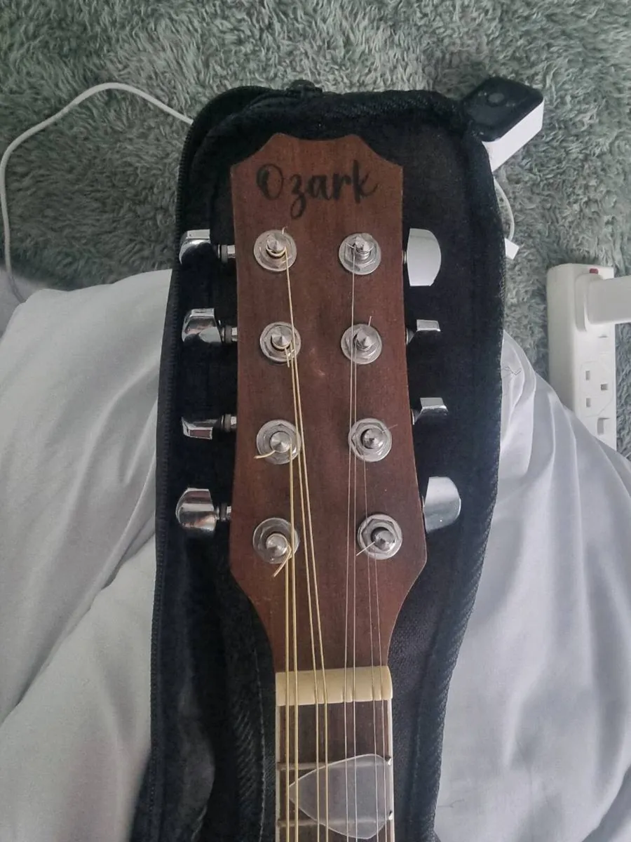Ozark mandolin £100 sterling - Image 3