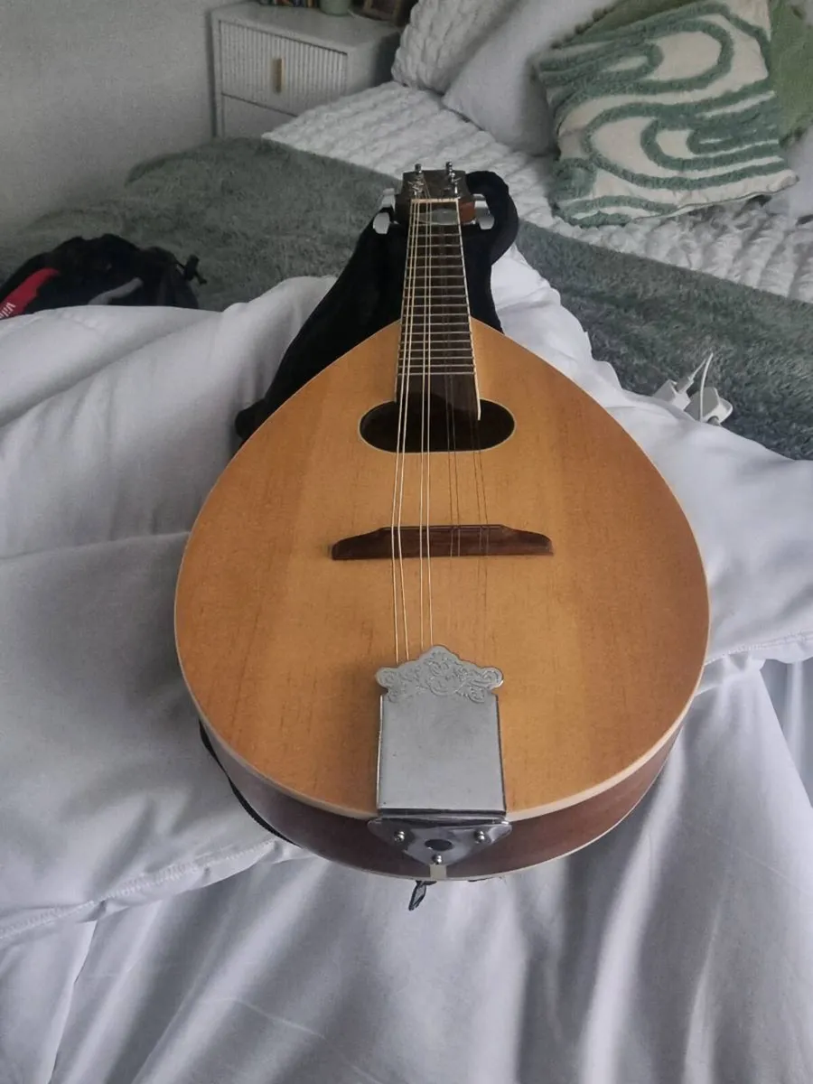 Ozark mandolin £100 sterling - Image 2