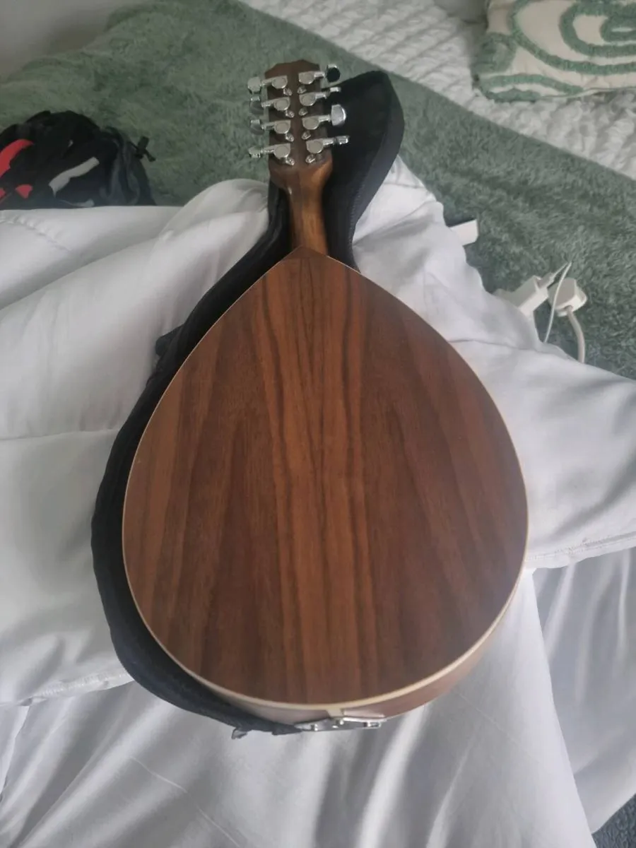 Ozark mandolin £100 sterling - Image 4