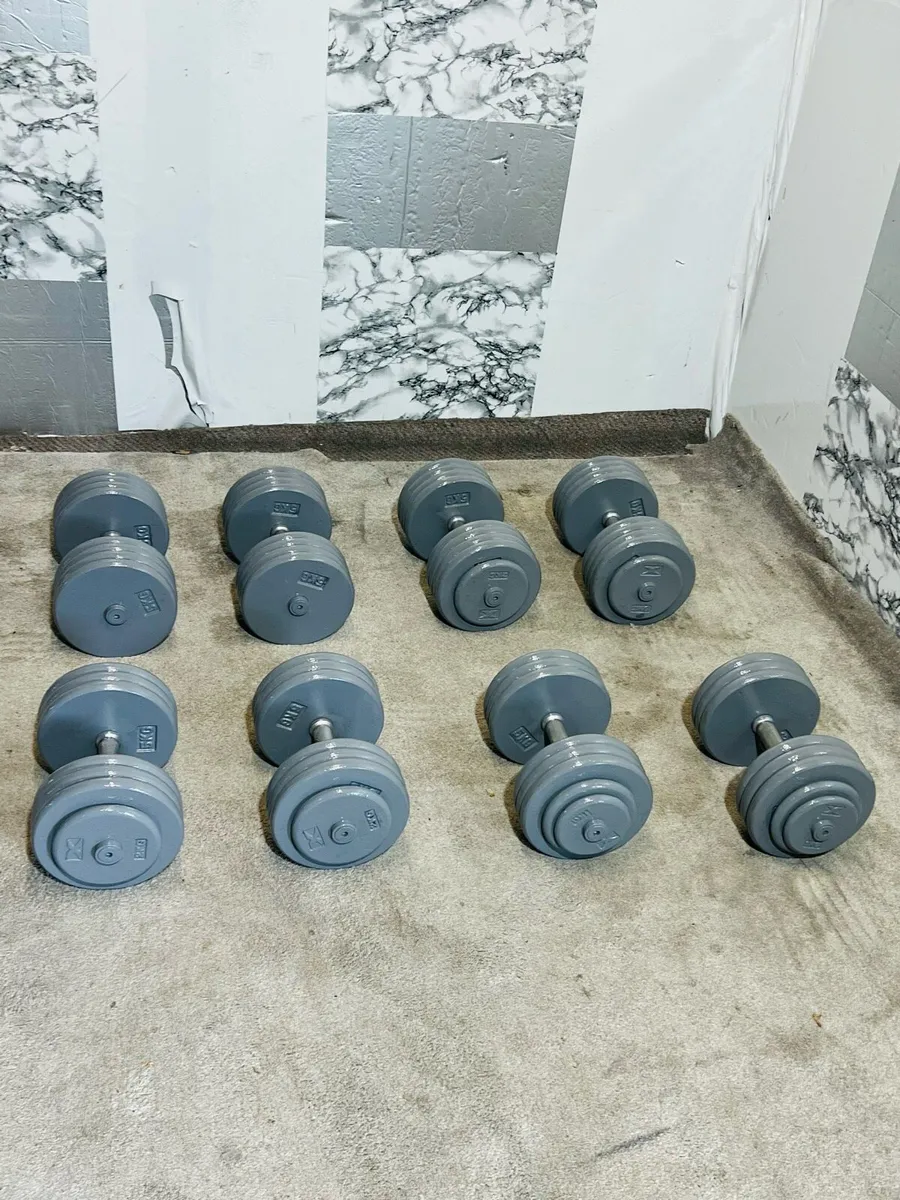 308 KG HAEVY DUMBBELLS - Image 1