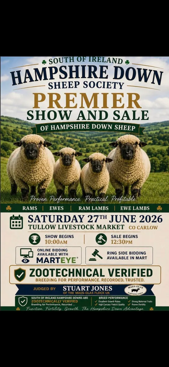 Hampshire down Premier Sale