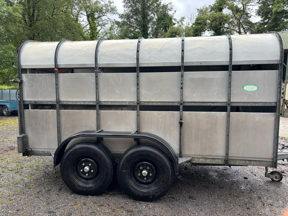 NUGENT CATTLE TRAILER - Image 2