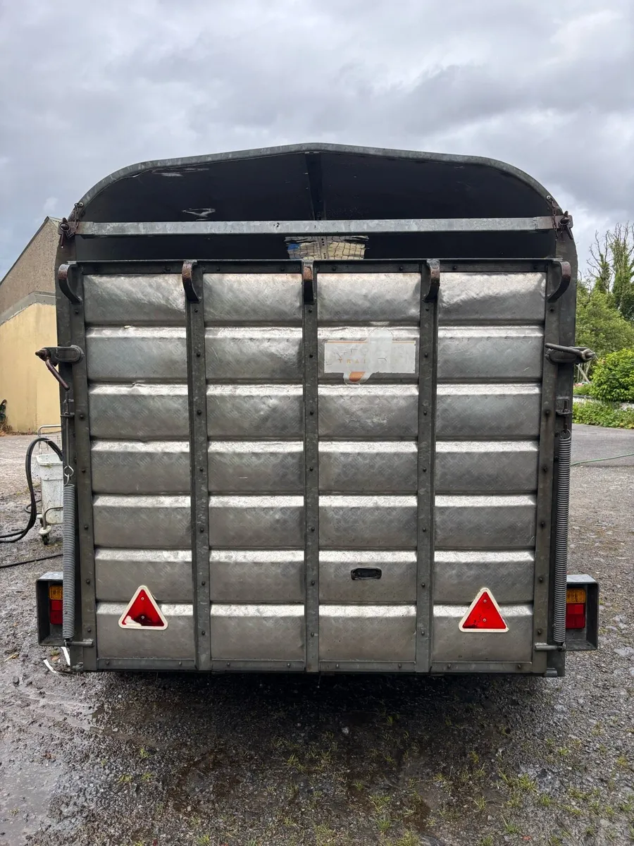 NUGENT CATTLE TRAILER - Image 4