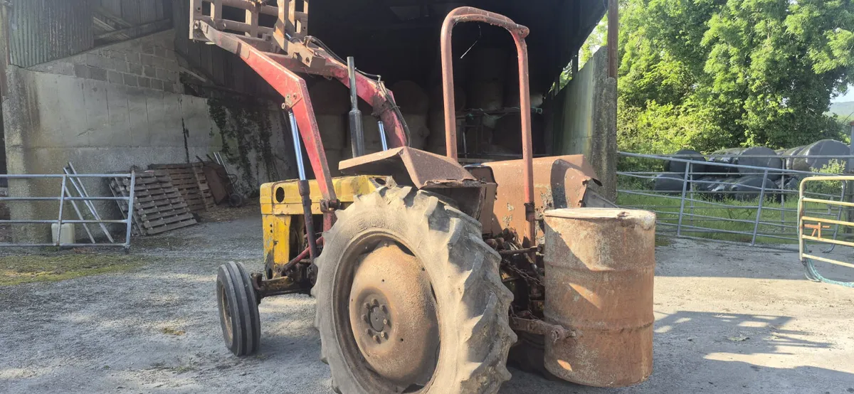 Massey Ferguson 165 - Image 2