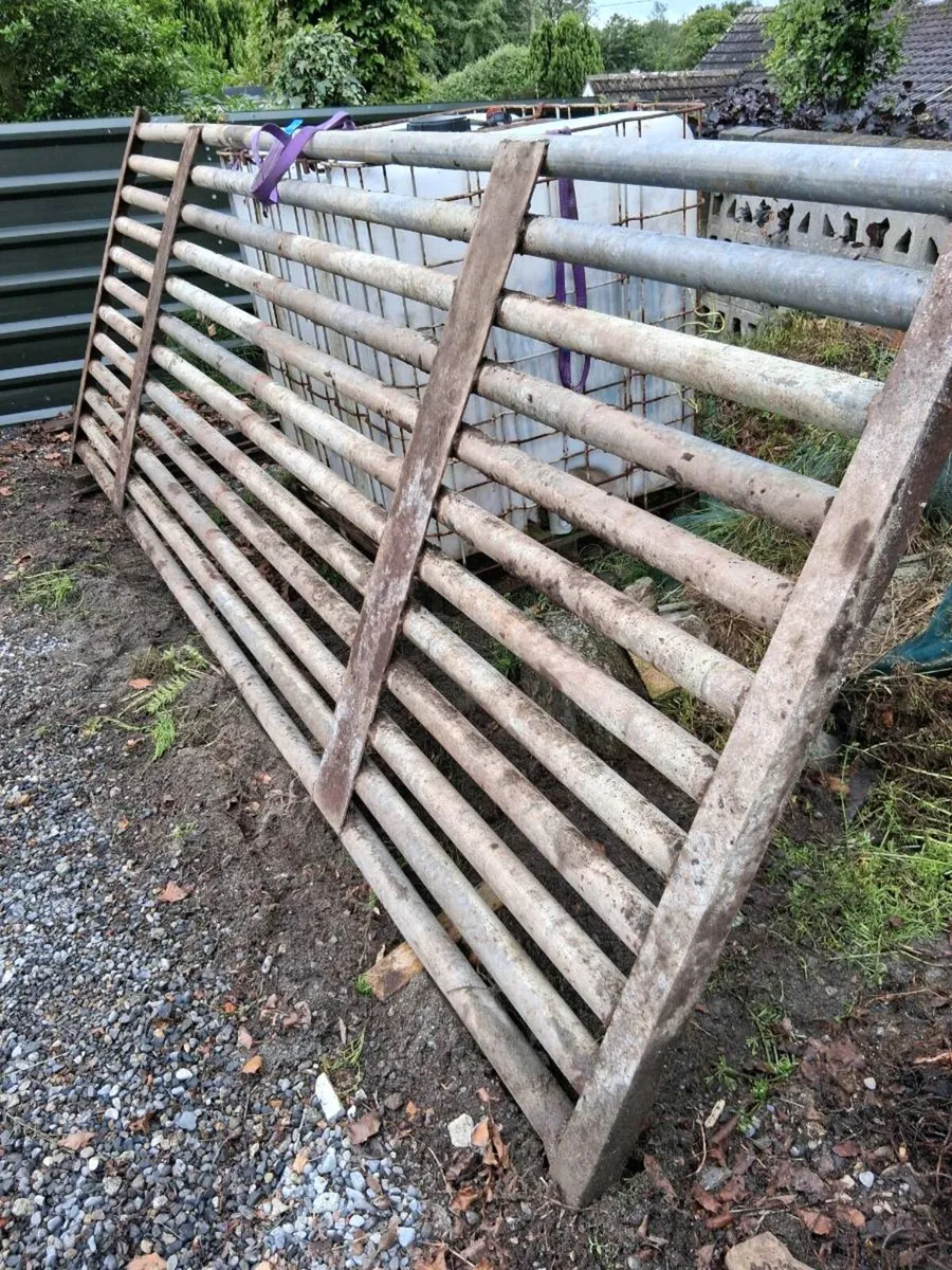Cattle grid - Image 1