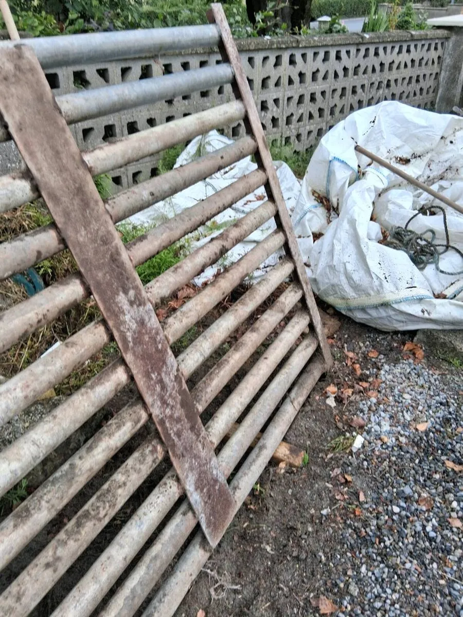 Cattle grid - Image 2