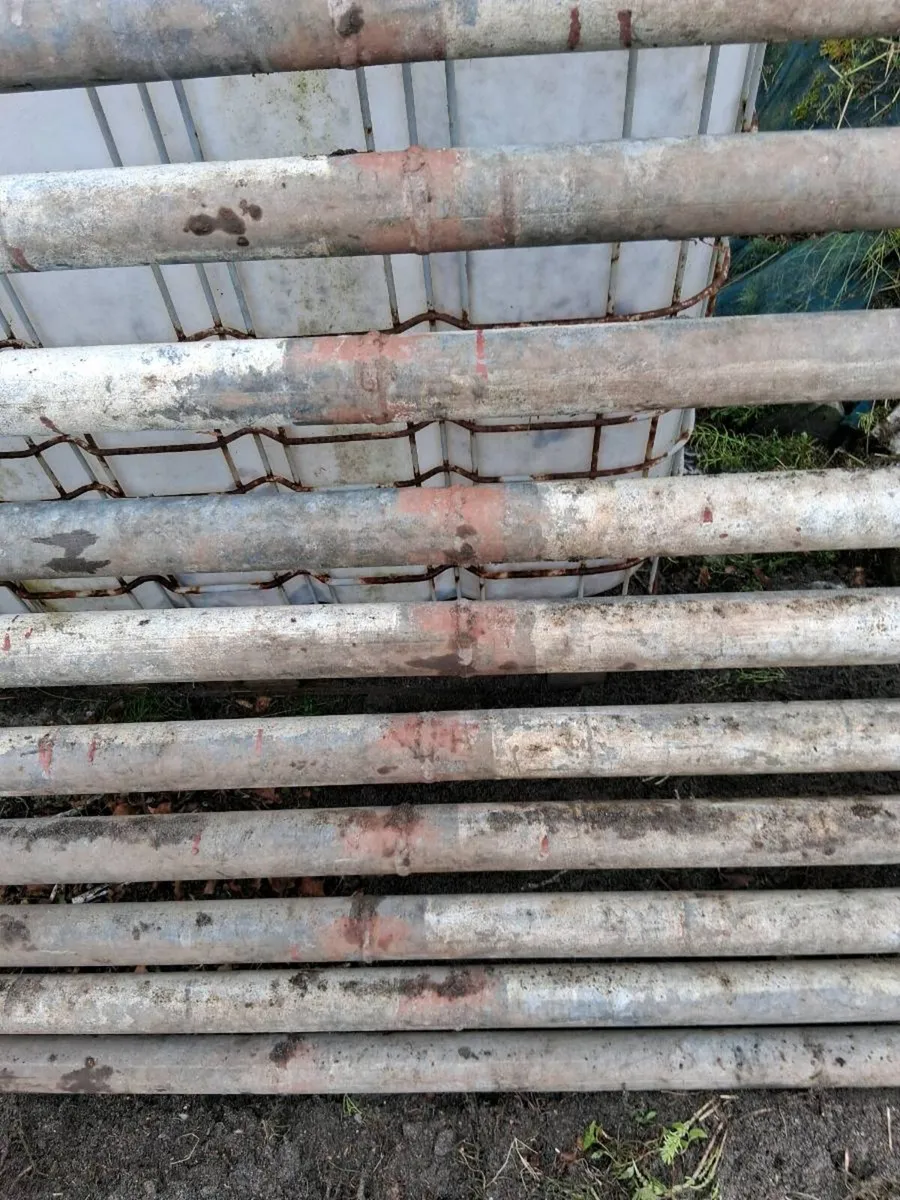 Cattle grid - Image 4
