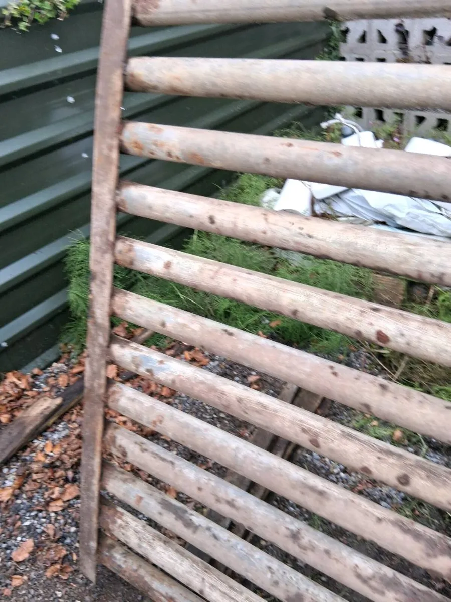 Cattle grid - Image 3