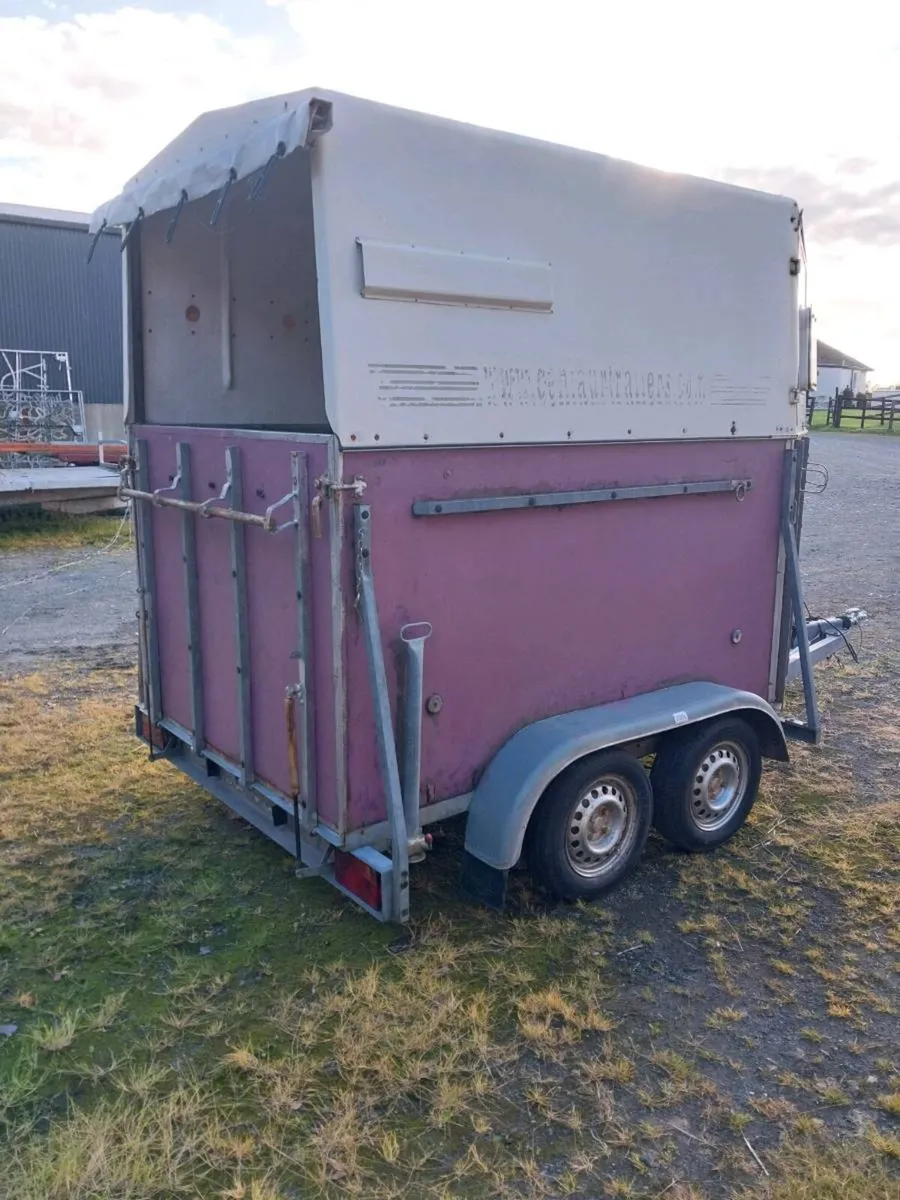 DOUBLE HORSEBOX FOR SALE - Image 3