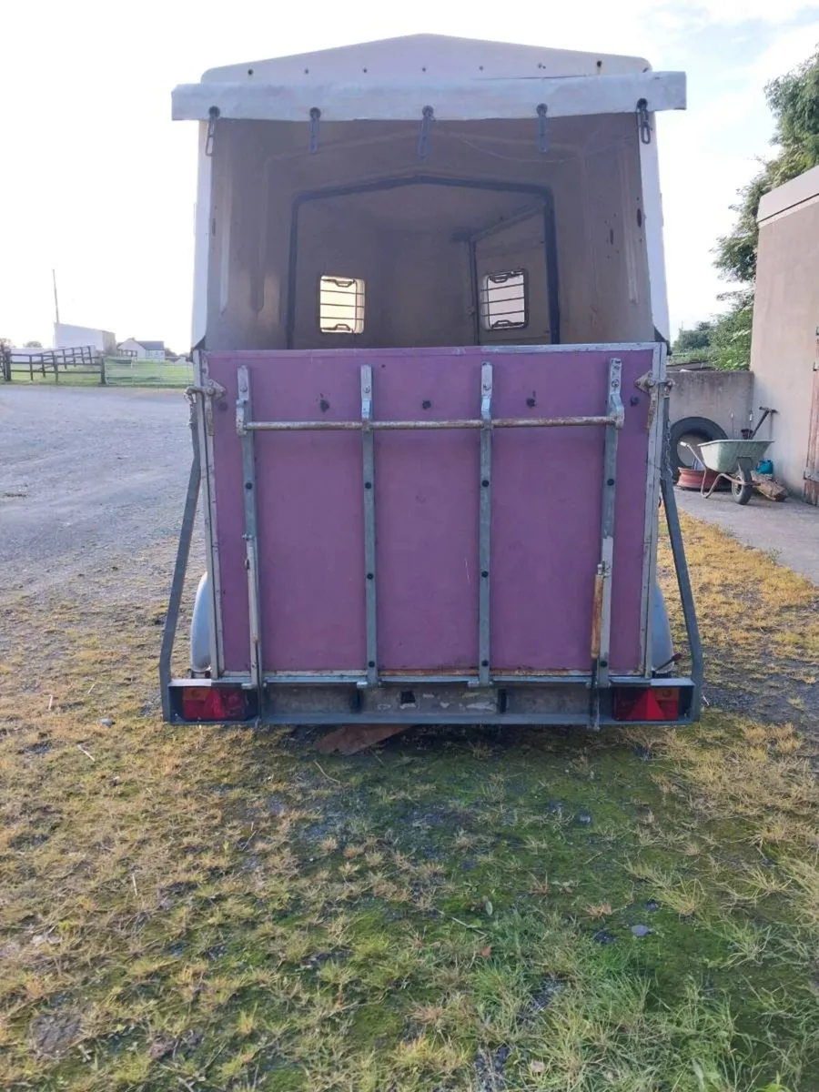 DOUBLE HORSEBOX FOR SALE - Image 4