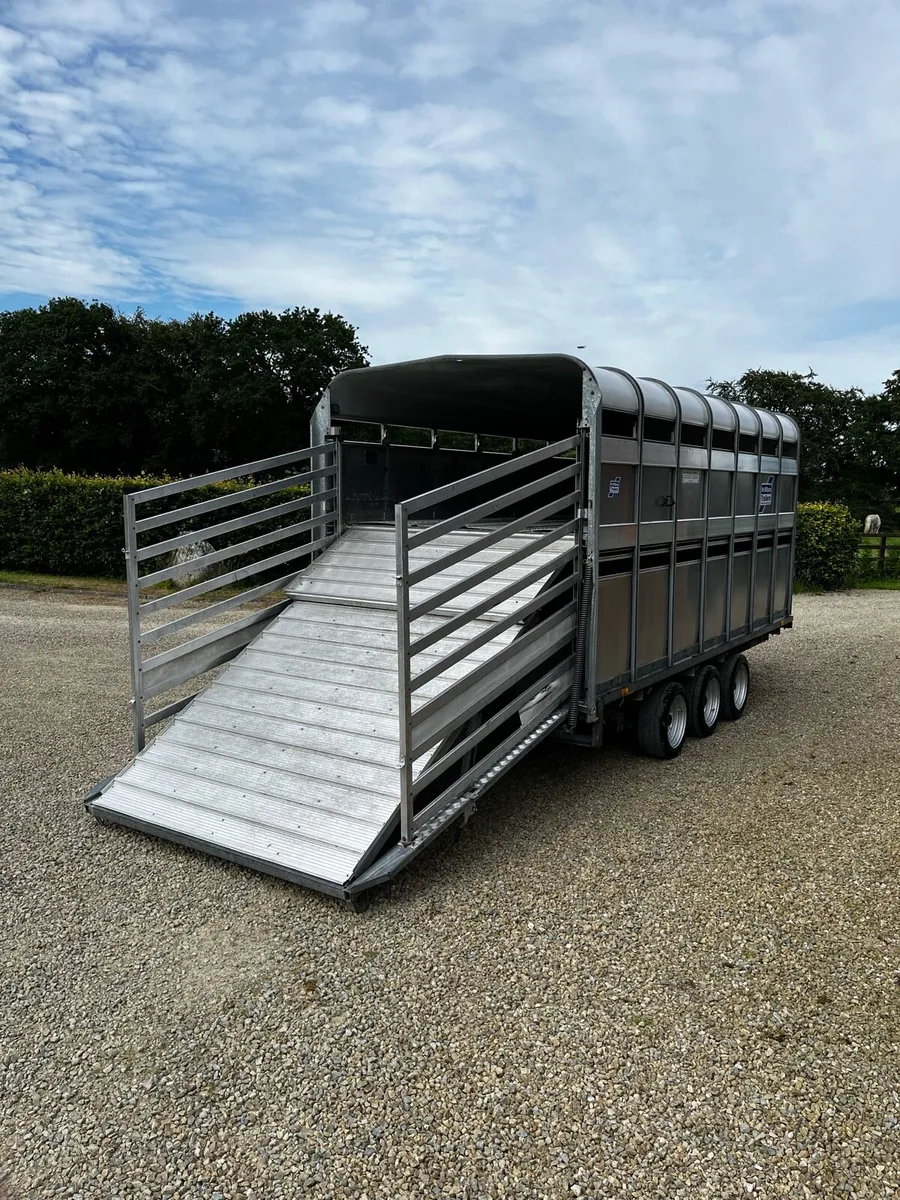 Ifor Williams DP120 14x6 / Decks - Image 1