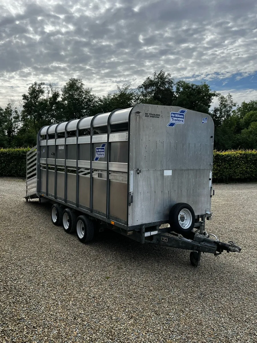 Ifor Williams DP120 14x6 / Decks - Image 2