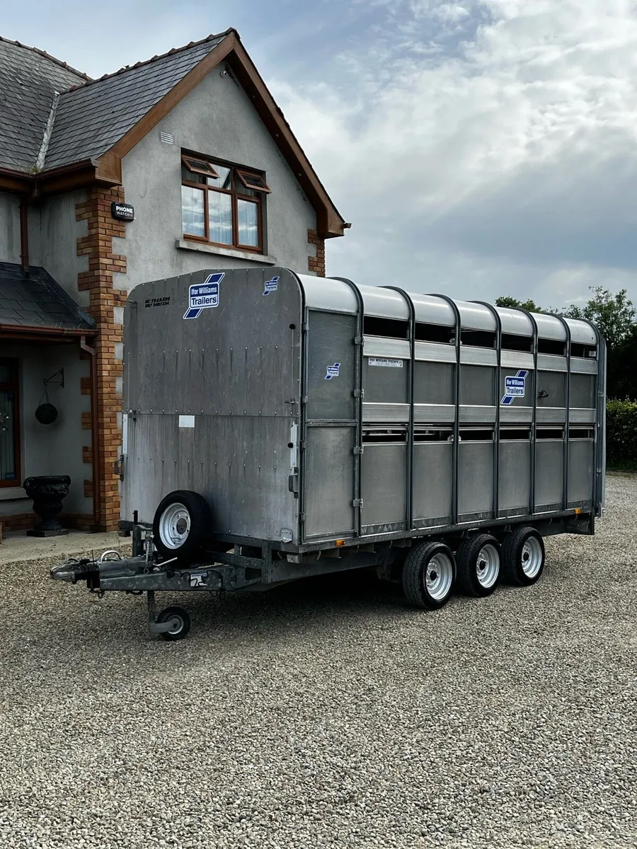 Ifor Williams DP120 14x6 / Decks - Image 3