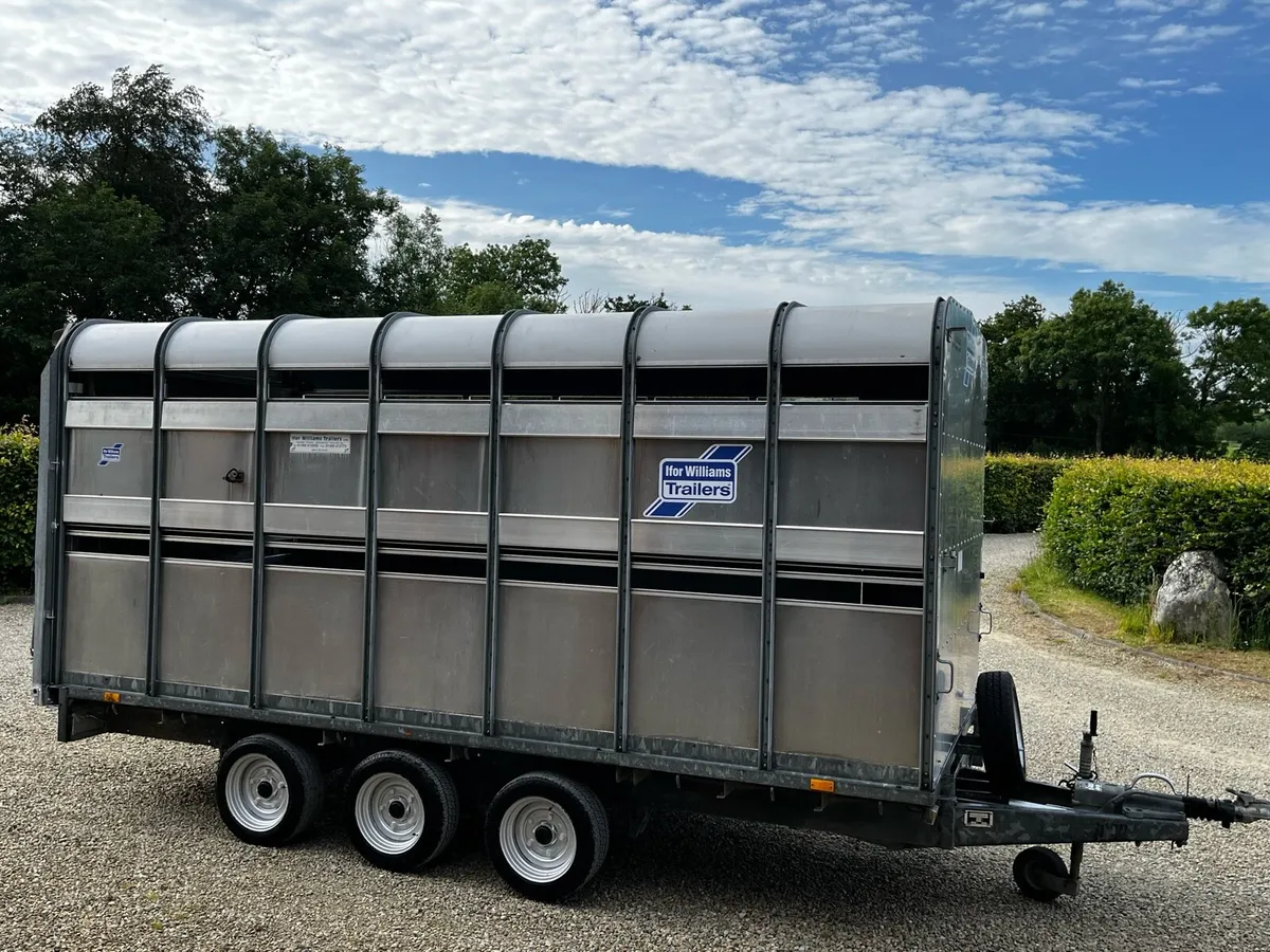 Ifor Williams DP120 14x6 / Decks - Image 4