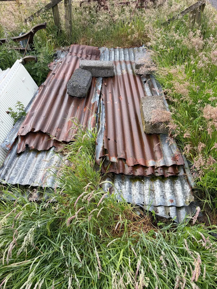 Used Roof Sheeting - Image 3