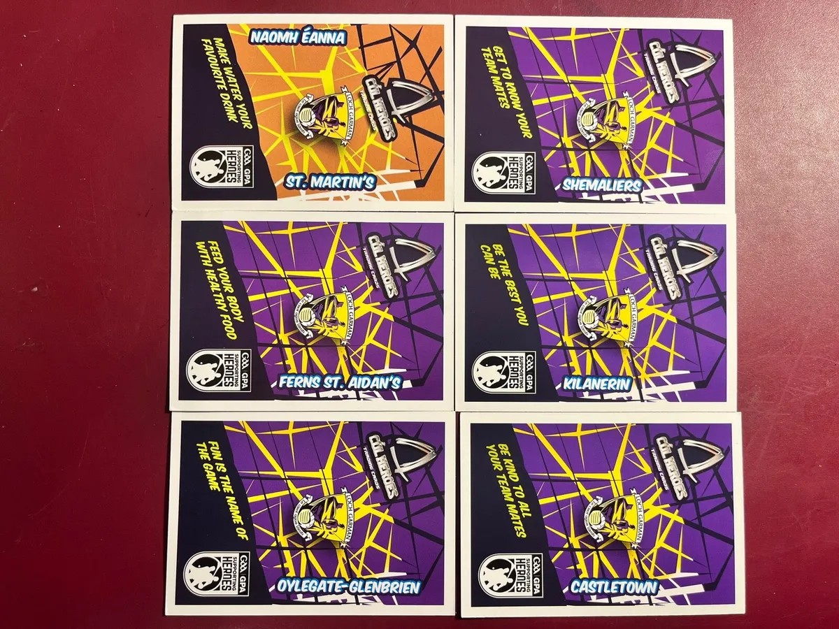 Wexford Heroes GAA trading cards - Image 2