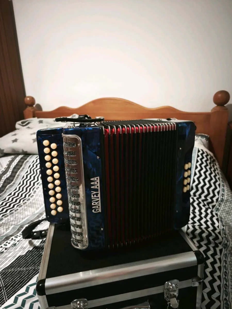 Accordion - Image 2