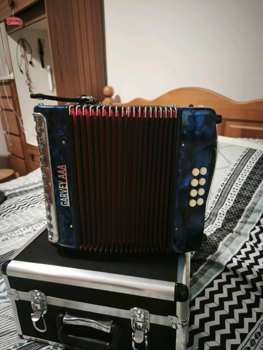 Accordion - Image 3