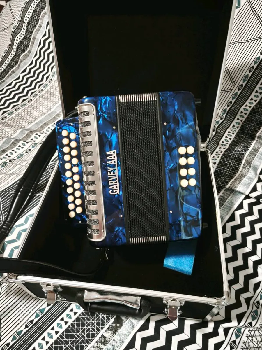 Accordion - Image 4