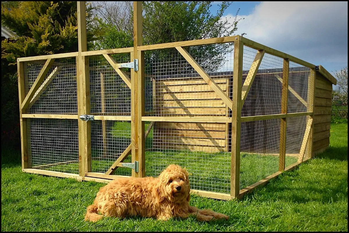 Dog Box With Enclosure - Image 1