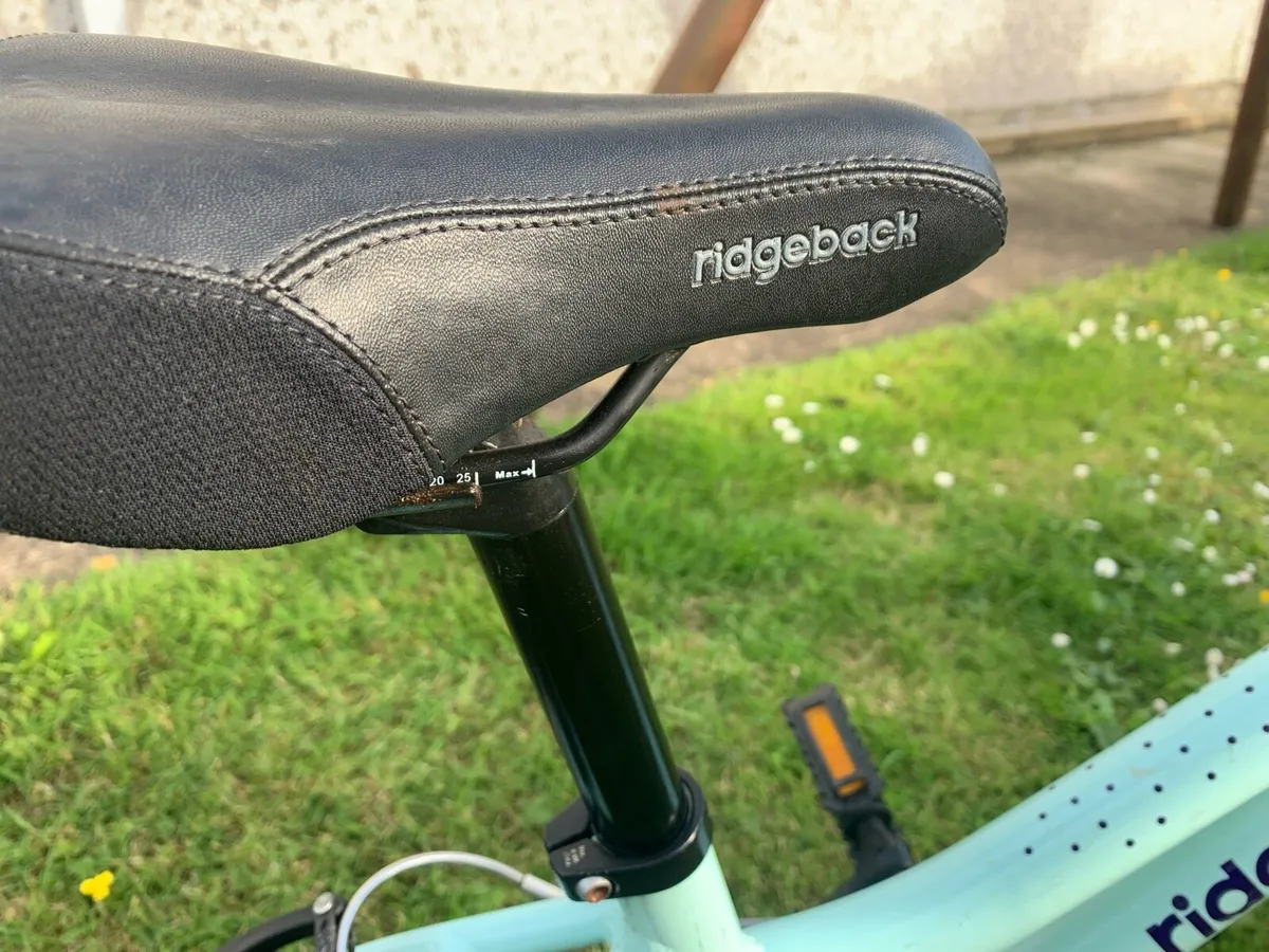 Ridgeback children's bicycle - Image 3