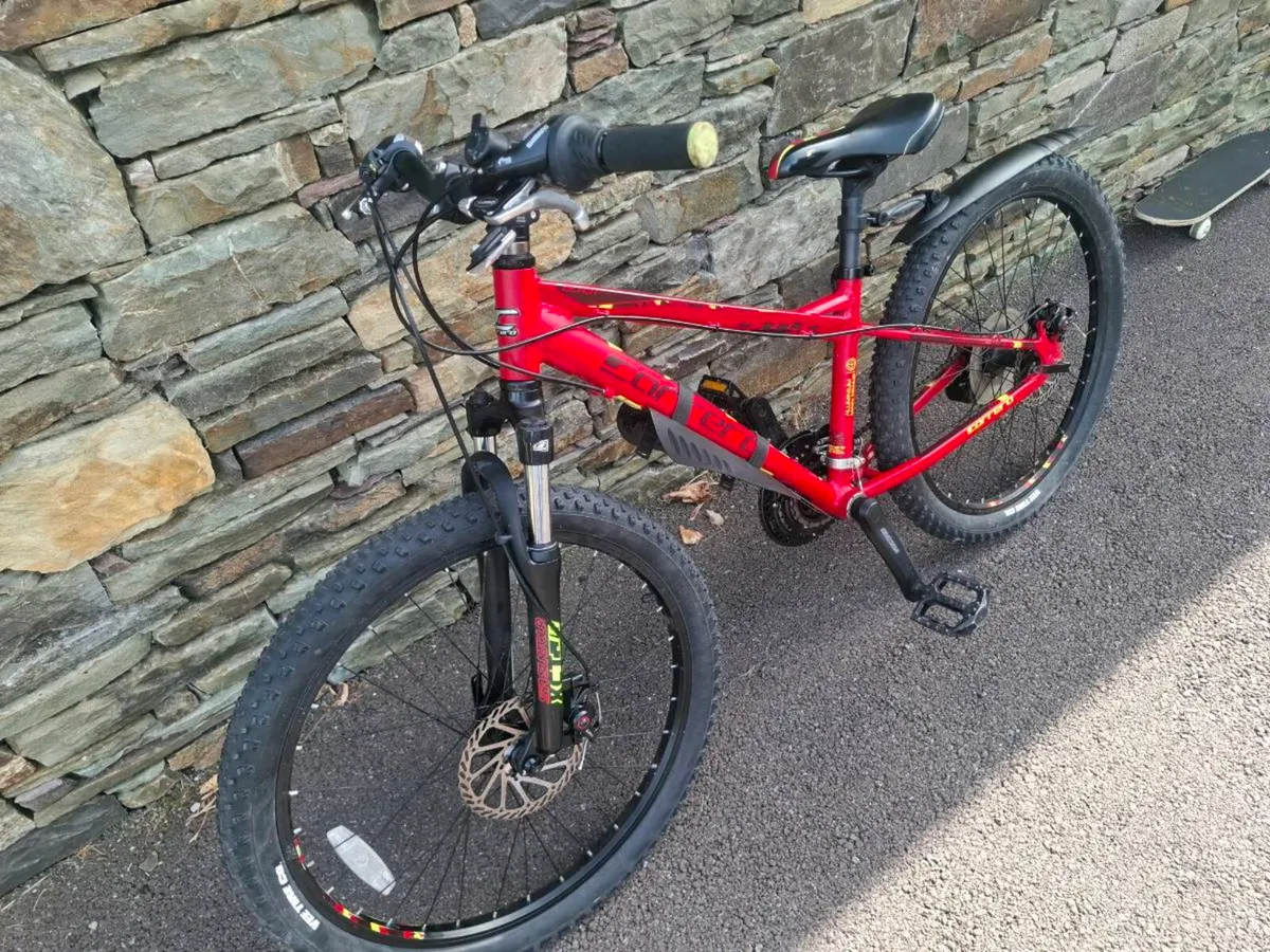 Bike - Image 2