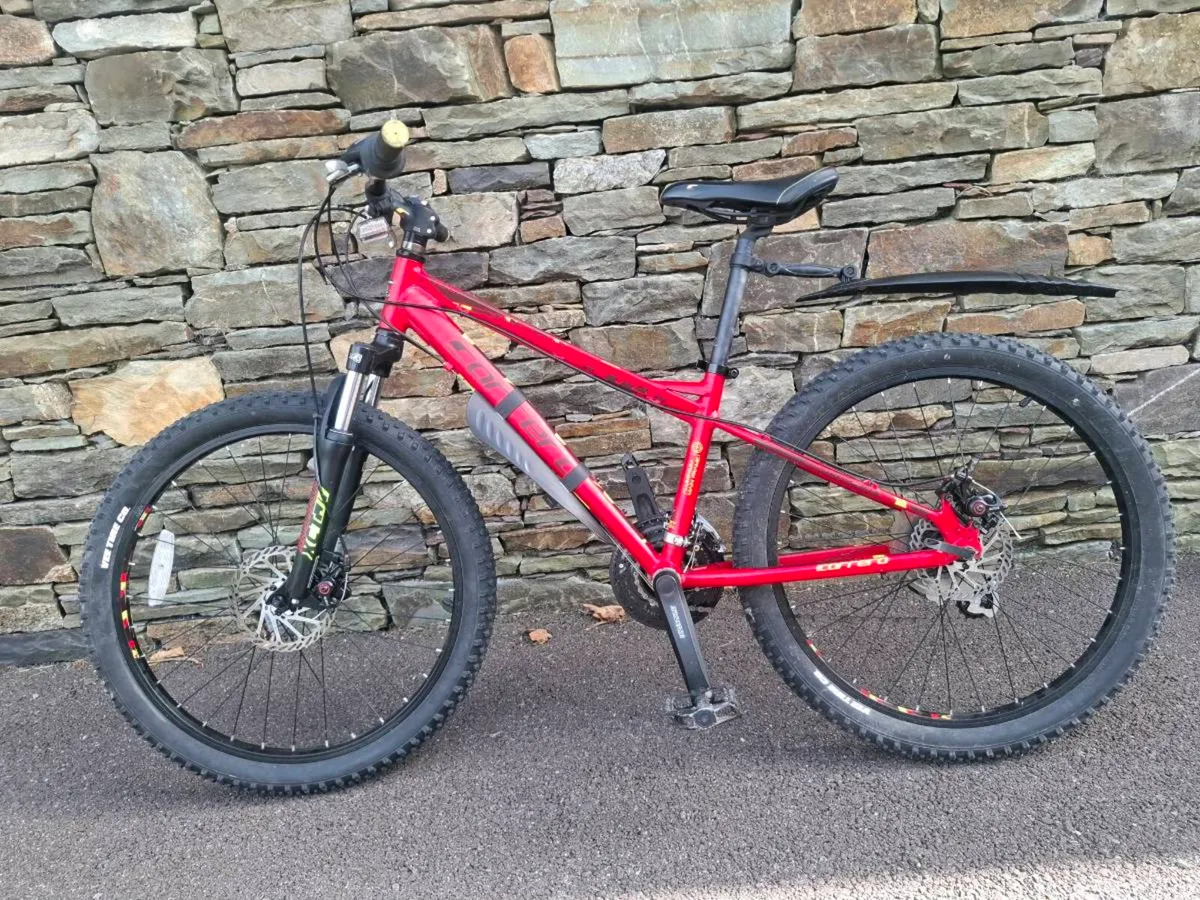 Bike - Image 3